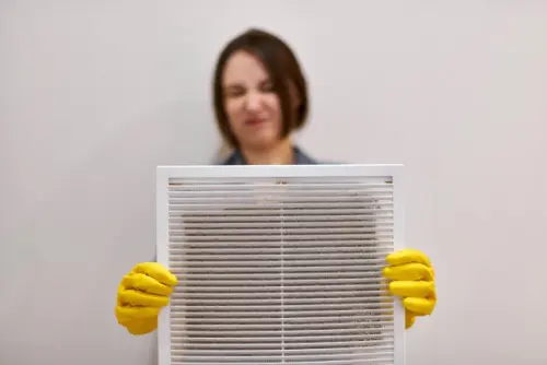 Air-Duct-And-Dryer-Vent-Cleaning--in-Gresham-Wisconsin-air-duct-and-dryer-vent-cleaning-gresham-wisconsin.jpg-image