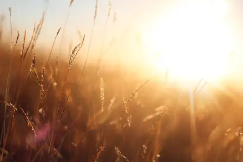 Photovoltaic-(PV)-Solar-System--in-Suring-Wisconsin-photovoltaic-(pv)-solar-system-suring-wisconsin.jpg-image